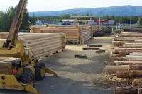 Our log yard